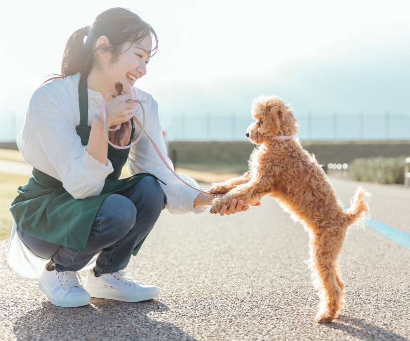 犬と遊ぶ女性の様子