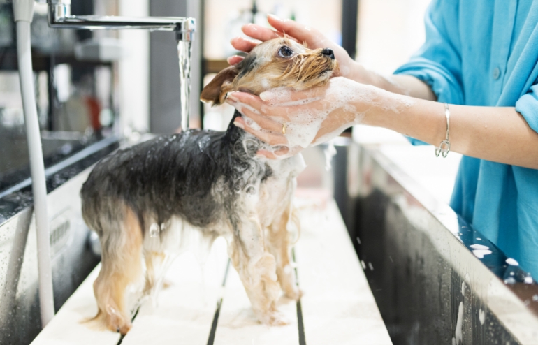 サロンの特徴②