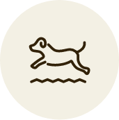 ペットホテルアイコン④