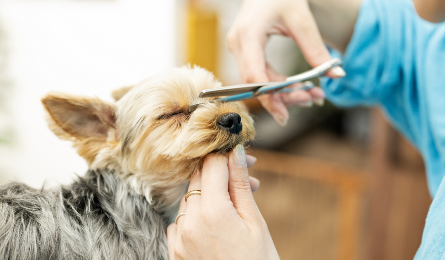 スライダー画像①